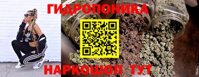 прущие крисы Вязьма
