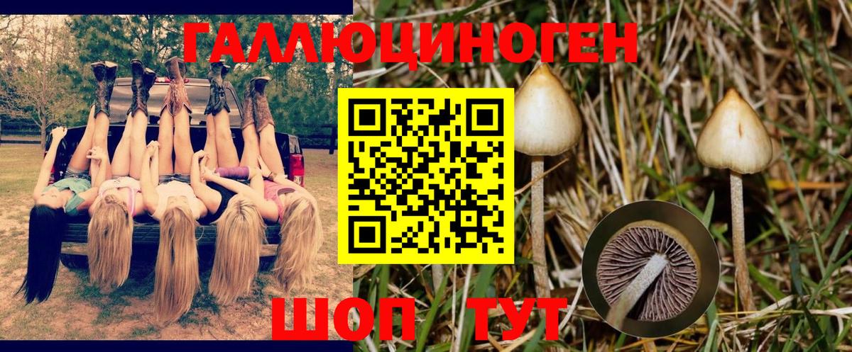 Тосно  Галлюциногенные грибы мухоморы  сколько стоит  Вход с VPN 