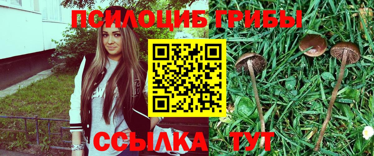 Галлюциногенные грибы прущие грибы Тосно